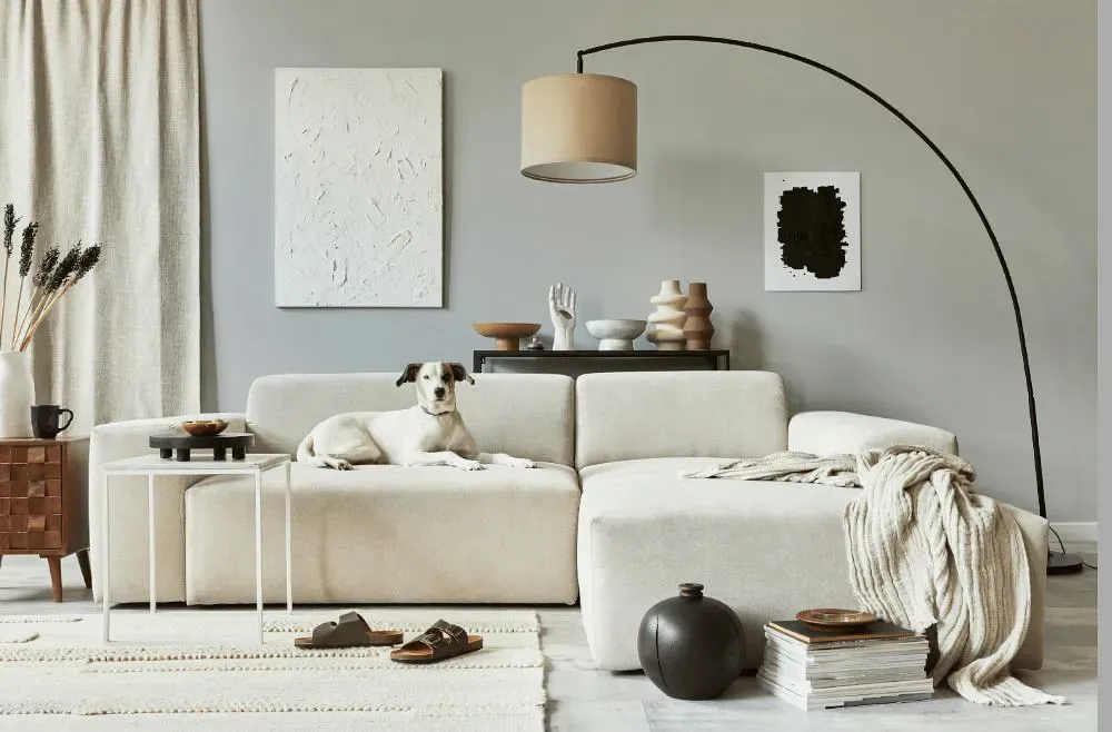 Sherwin Williams Autonomous cozy living room