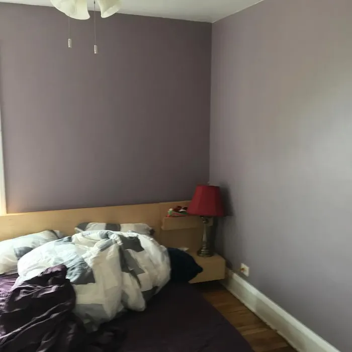 Sherwin Williams Autumn Orchid bedroom color