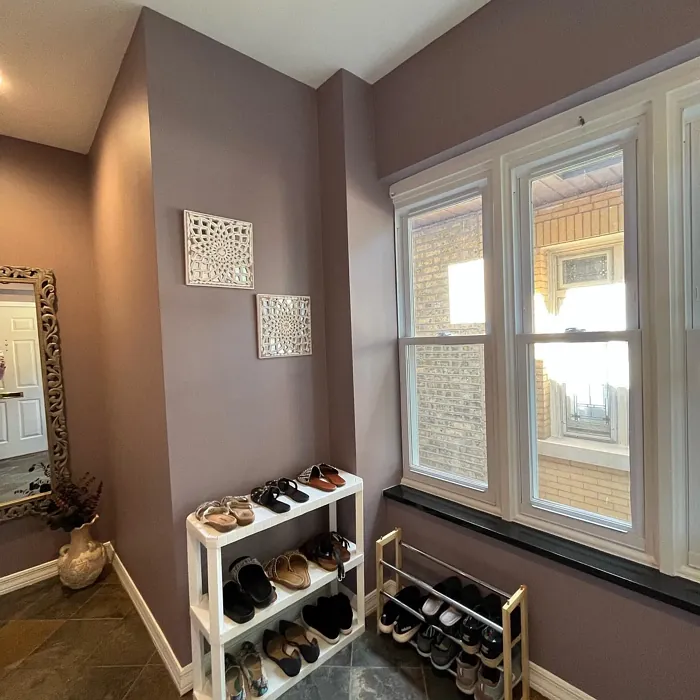 SW Autumn Orchid hallway color review