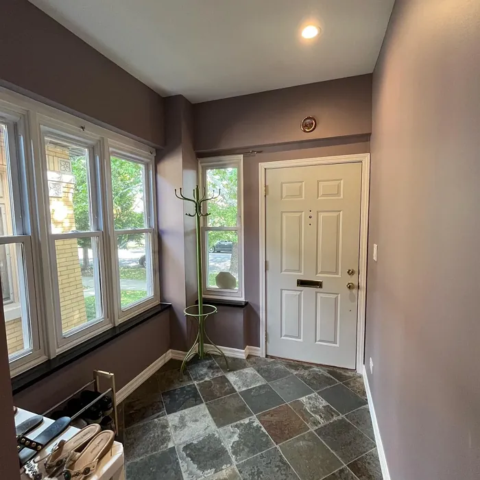 SW 9157 hallway color review