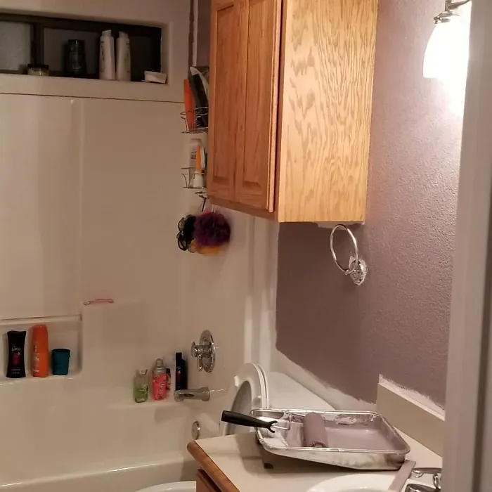 SW Autumn Orchid bathroom 