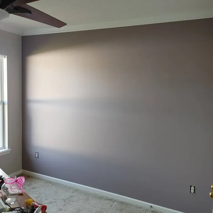 SW Autumn Orchid accent wall 