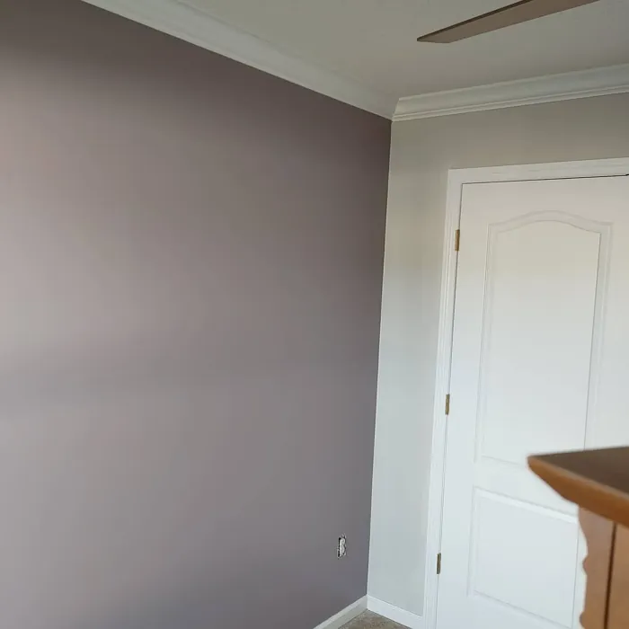 SW 9157 accent wall 