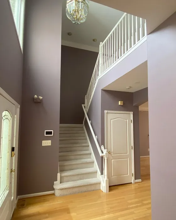 SW Autumn Orchid hallway interior