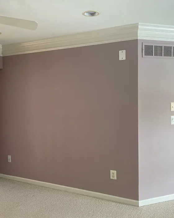 SW Autumn Orchid hallway paint review