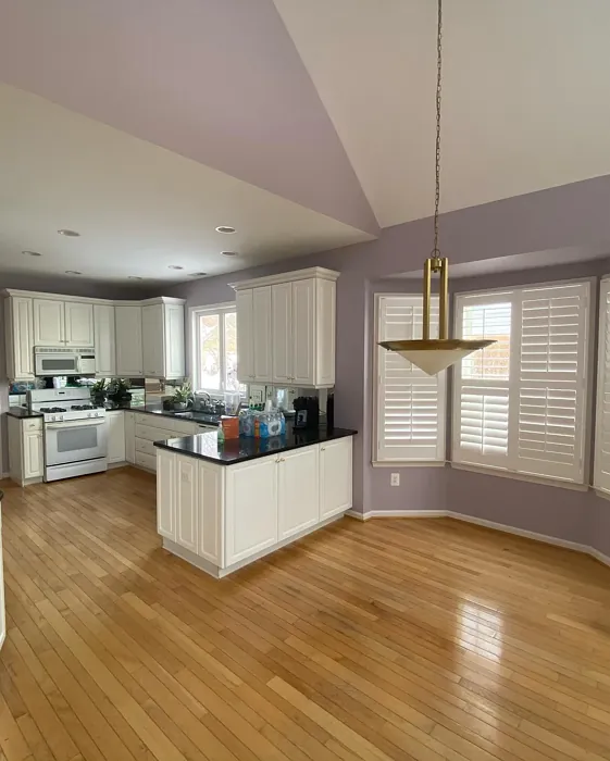 SW Autumn Orchid kitchen paint