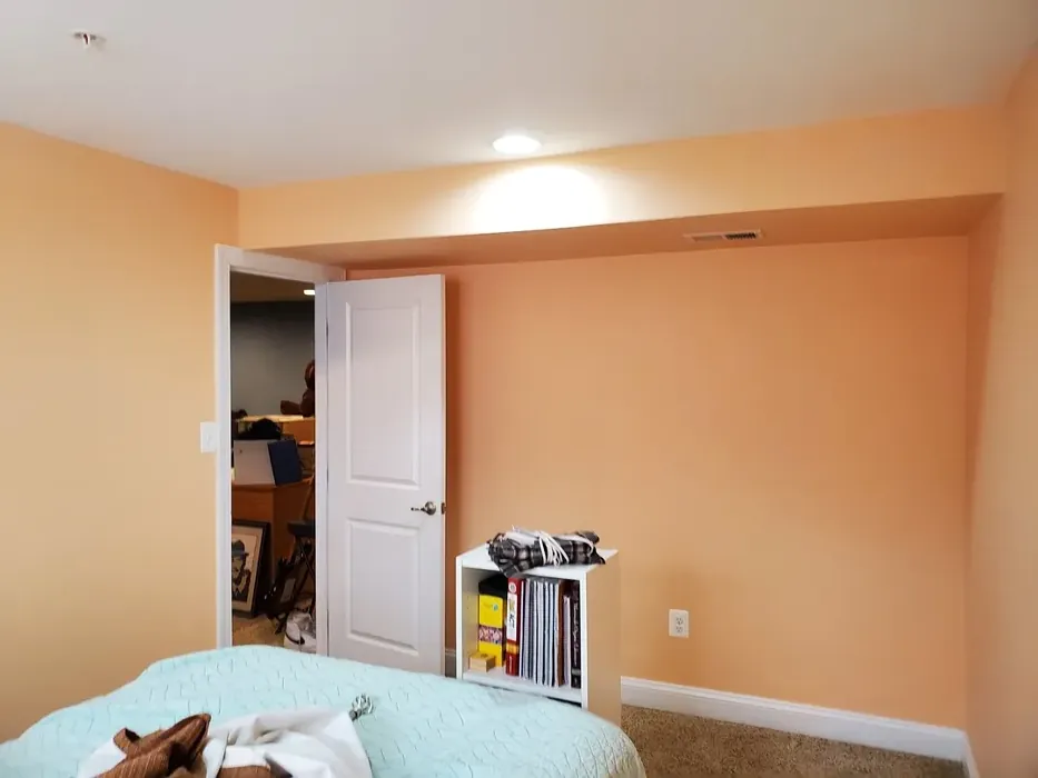 SW Avid Apricot bedroom paint
