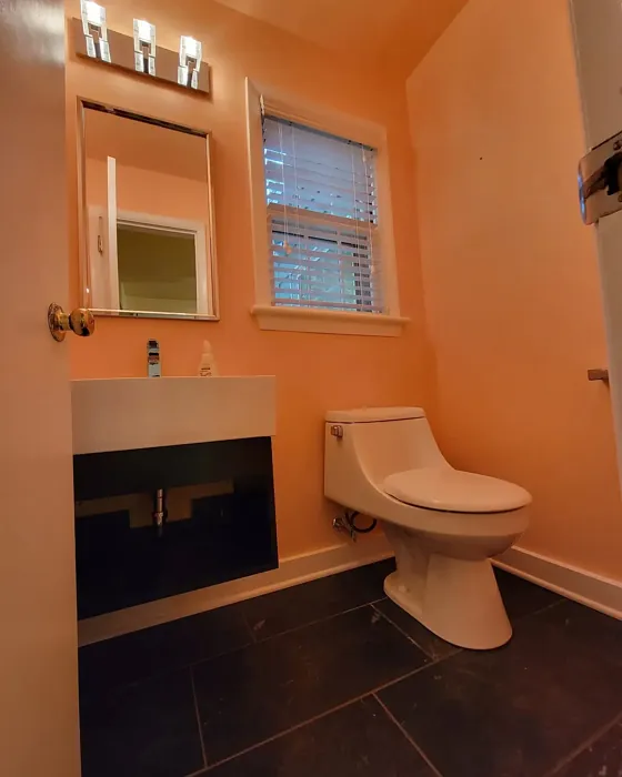 SW Avid Apricot bathroom color