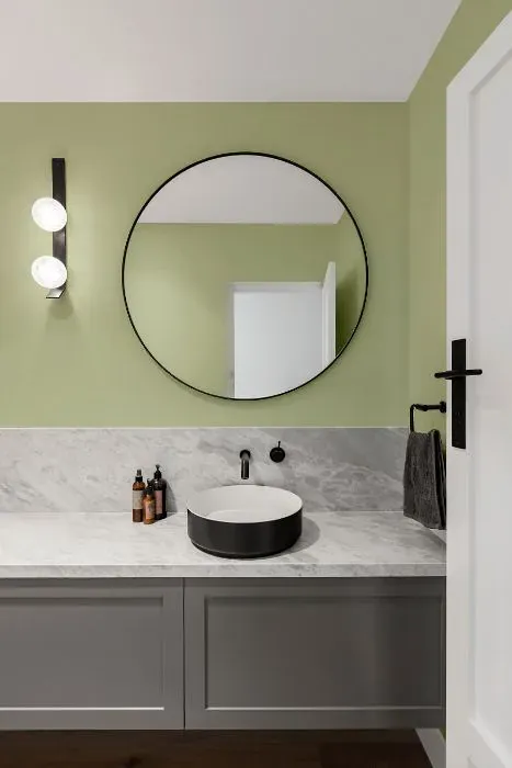 Sherwin Williams Baize Green minimalist bathroom