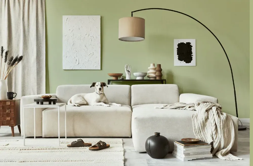 Sherwin Williams Baize Green cozy living room