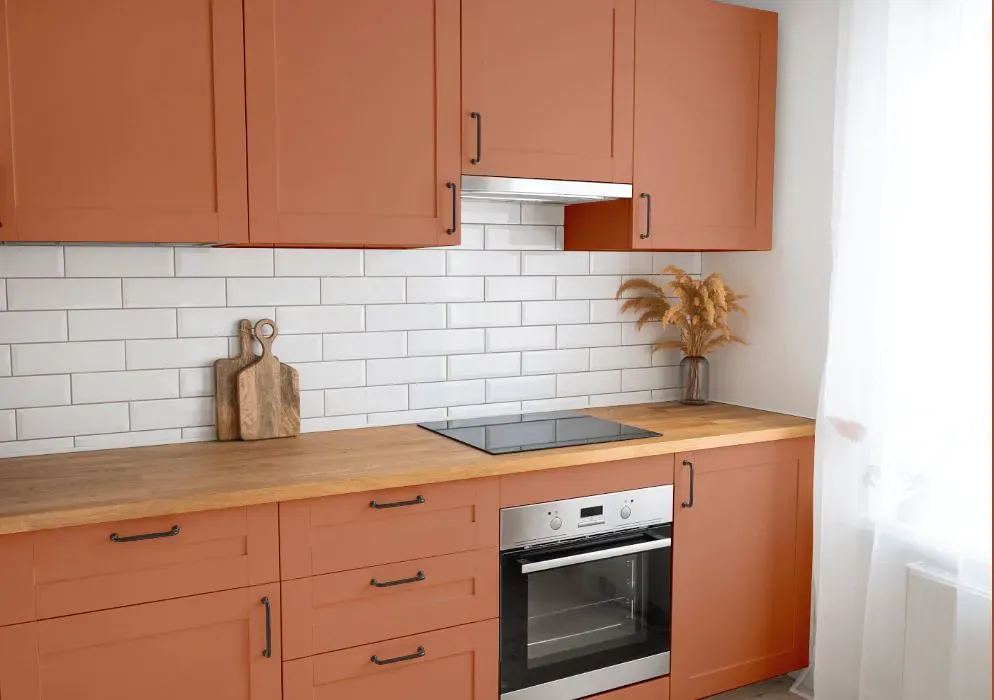 Sherwin Williams Baked Clay kitchen cabinets