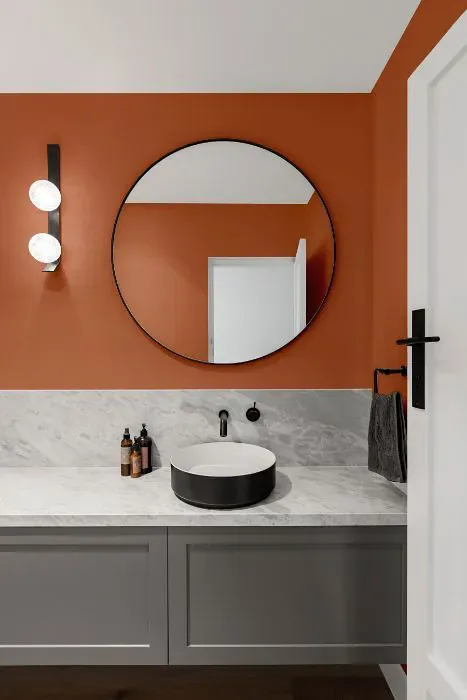 Sherwin Williams Baked Clay minimalist bathroom