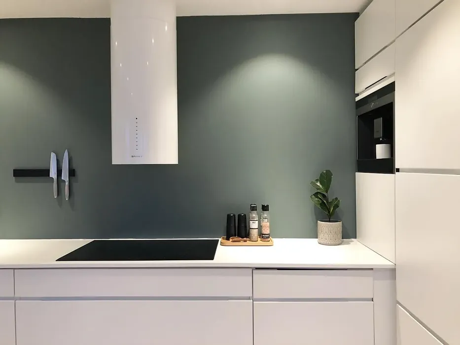 Jotun Balance kitchen color