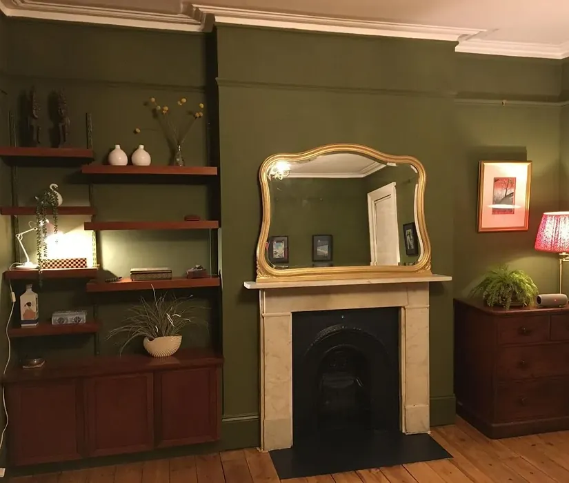 Farrow and Ball 298 living room fireplace picture