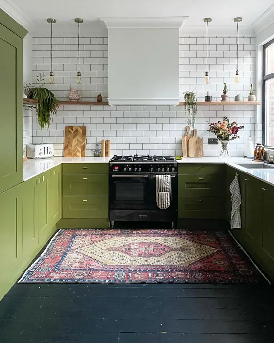 Farrow and Ball 298 kitchen cabinets picture