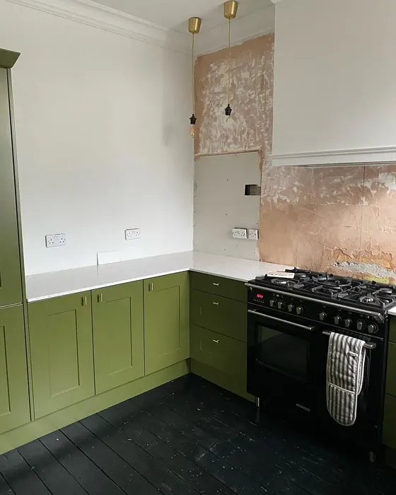 Farrow and Ball 298 kitchen cabinets color