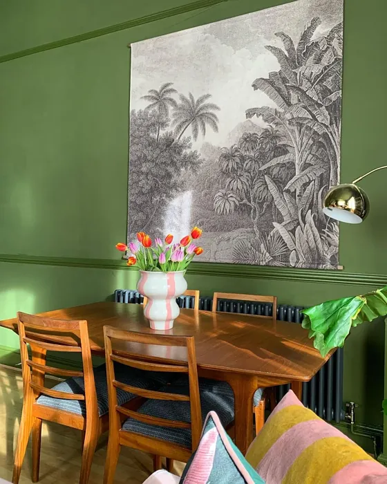 Farrow and Ball Bancha dining room color