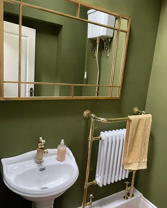 Bancha bathroom paint review