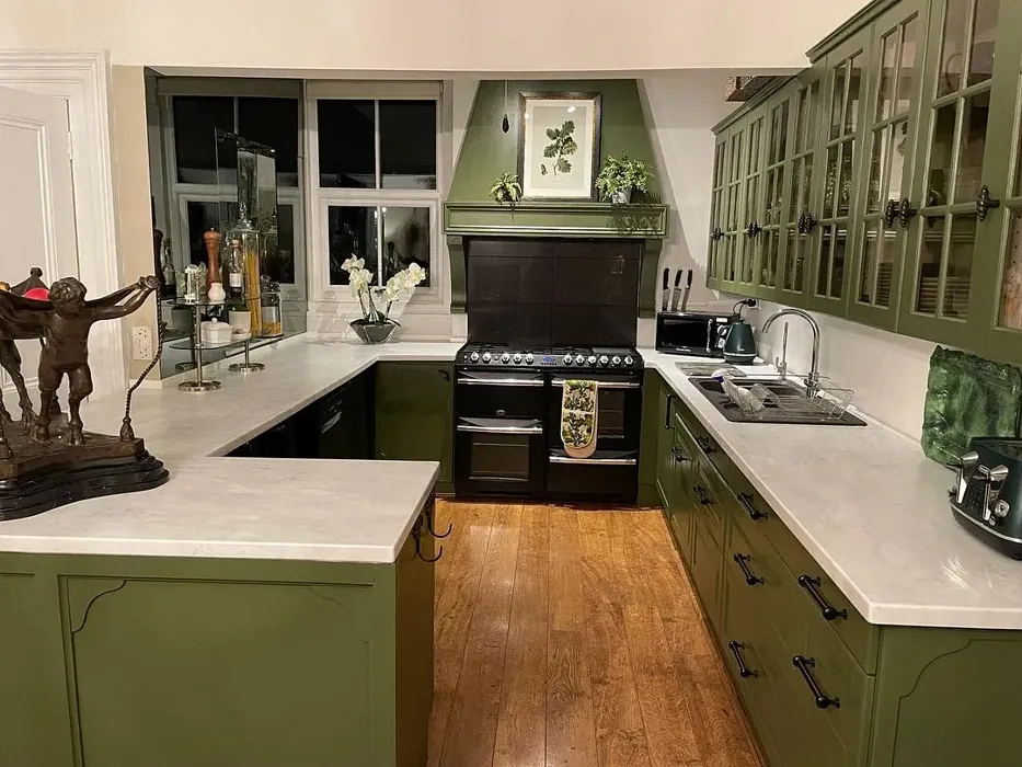 Farrow and Ball 298 kitchen cabinets inspo