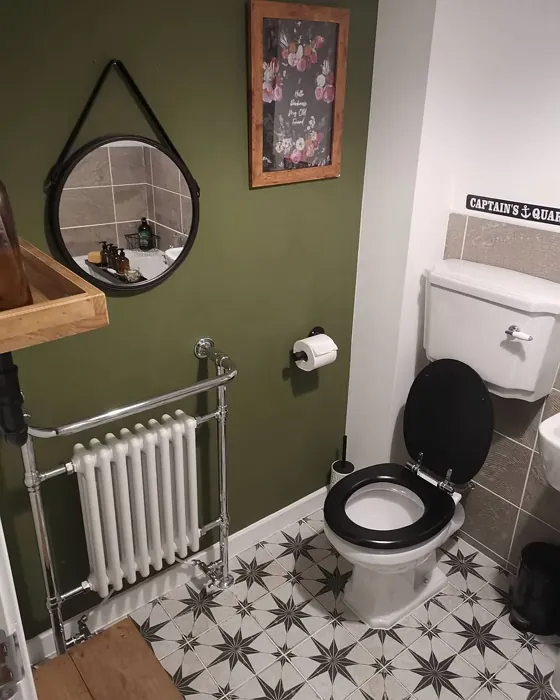 Bancha cozy bathroom paint review