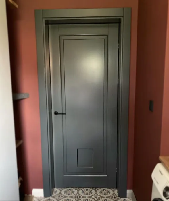 RAL Classic  Basalt grey RAL 7012 painted door