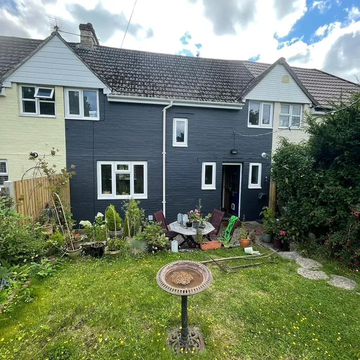 Dulux Basically Black house exterior paint review