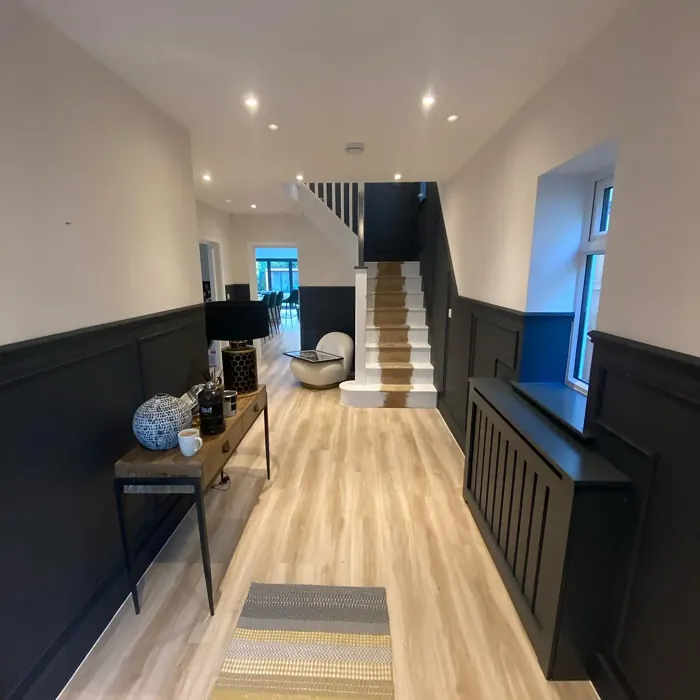 Dulux Basically Black hallway color-block