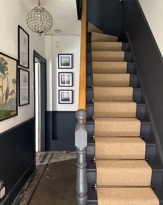 Dulux Basically Black wall panelling color