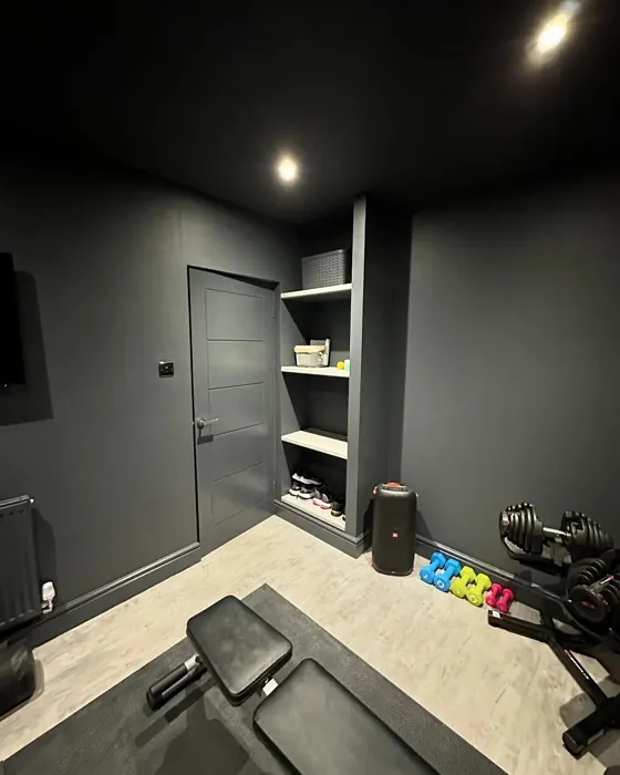 Dulux Basically Black home gym color review
