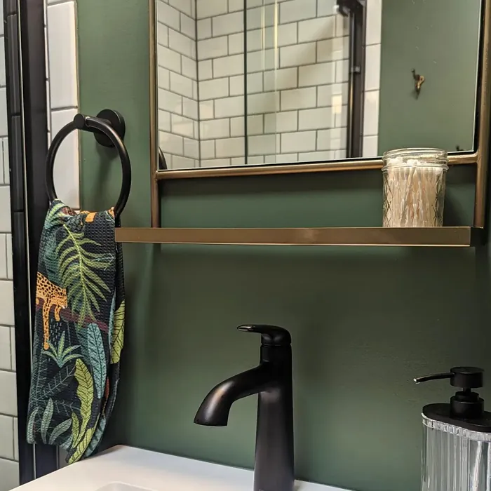 SW 6194 bathroom color review
