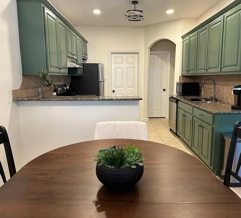 Sherwin Williams Basil kitchen cabinets paint review