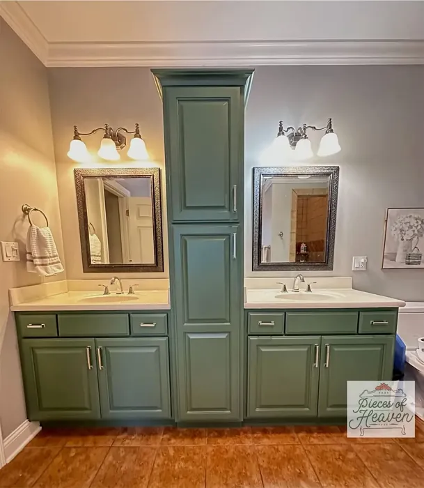 Sherwin Williams Basil bathroom vanity color review
