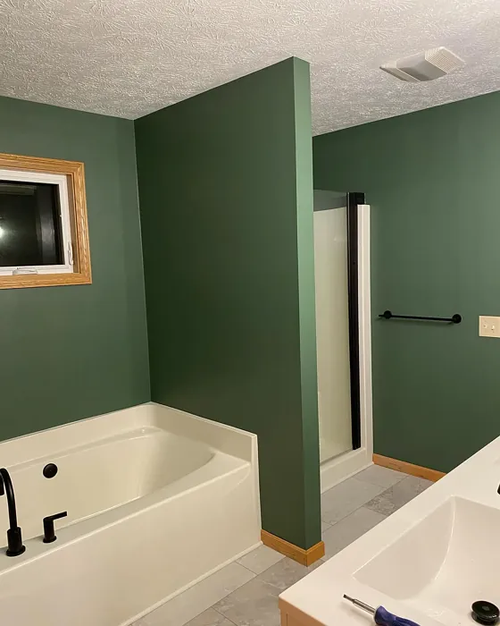 SW Basil bathroom color review