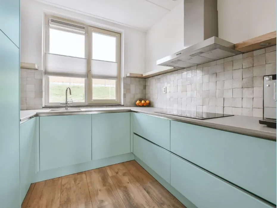 Sherwin Williams Bathe Blue small kitchen cabinets