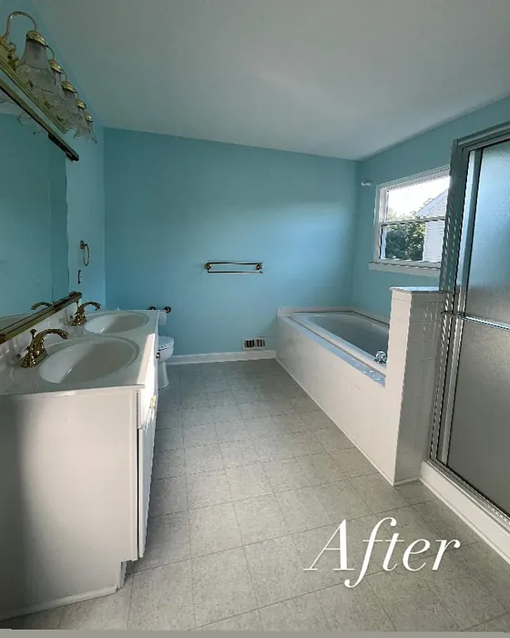 Sherwin Williams Bathe Blue bathroom 