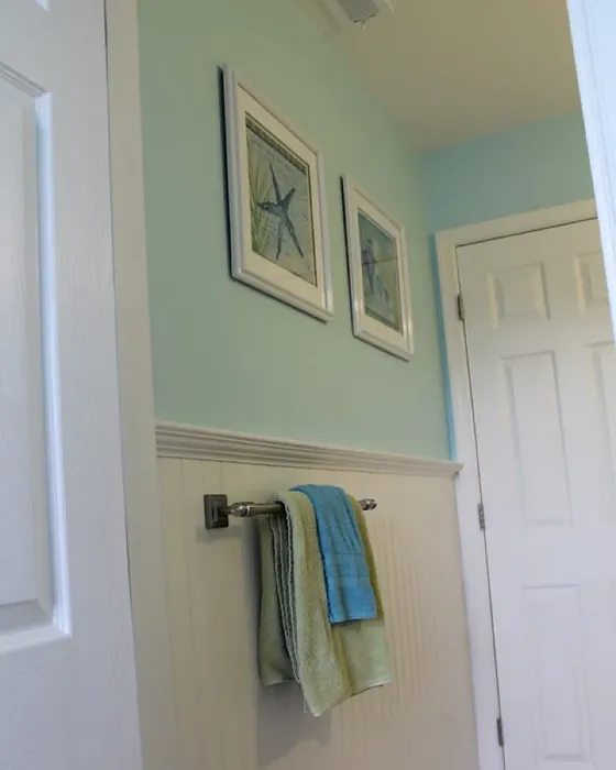 Sherwin Williams Bathe Blue bathroom color