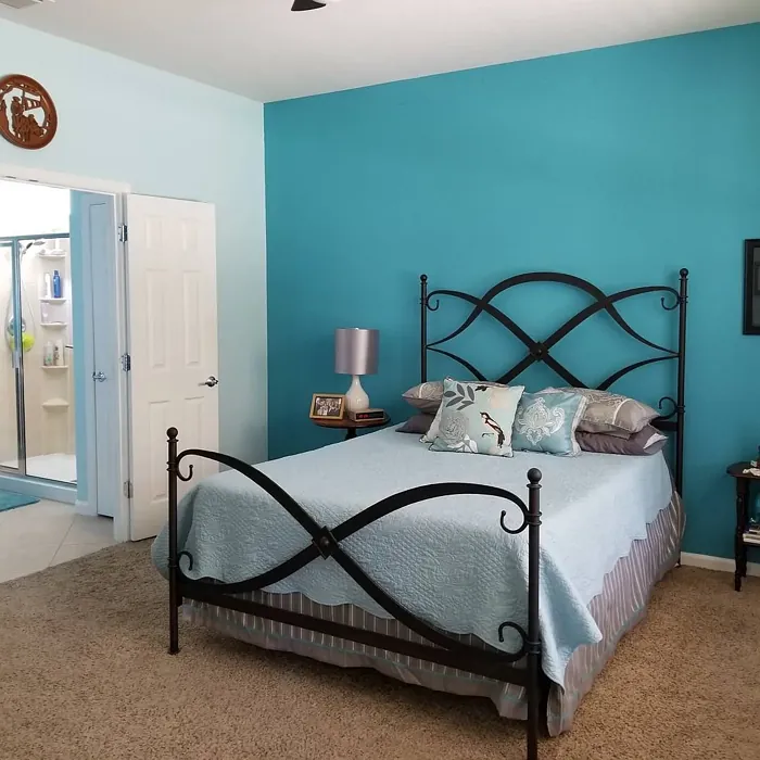 Sherwin Williams Bathe Blue bedroom color