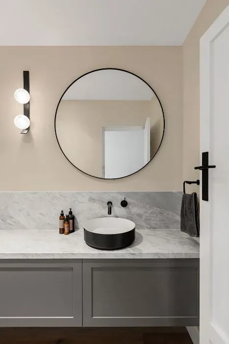 Sherwin Williams Bauhaus Buff minimalist bathroom