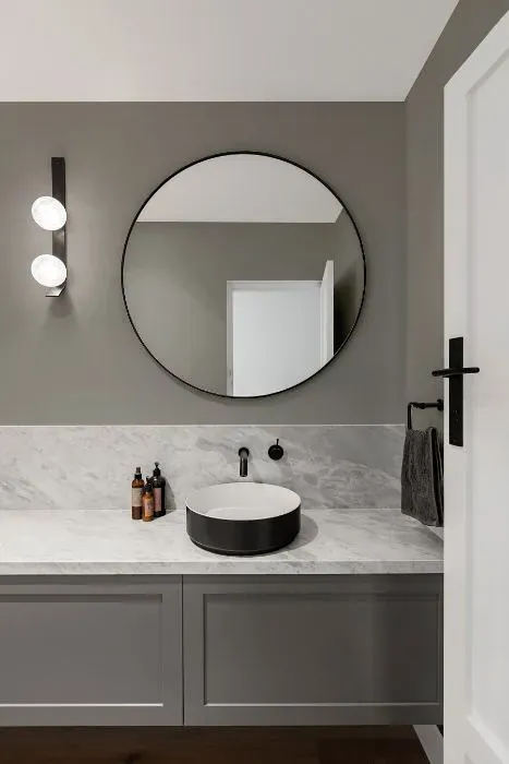 Sherwin Williams Bedrock minimalist bathroom