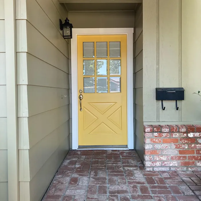 Sherwin Williams Bee front door color review
