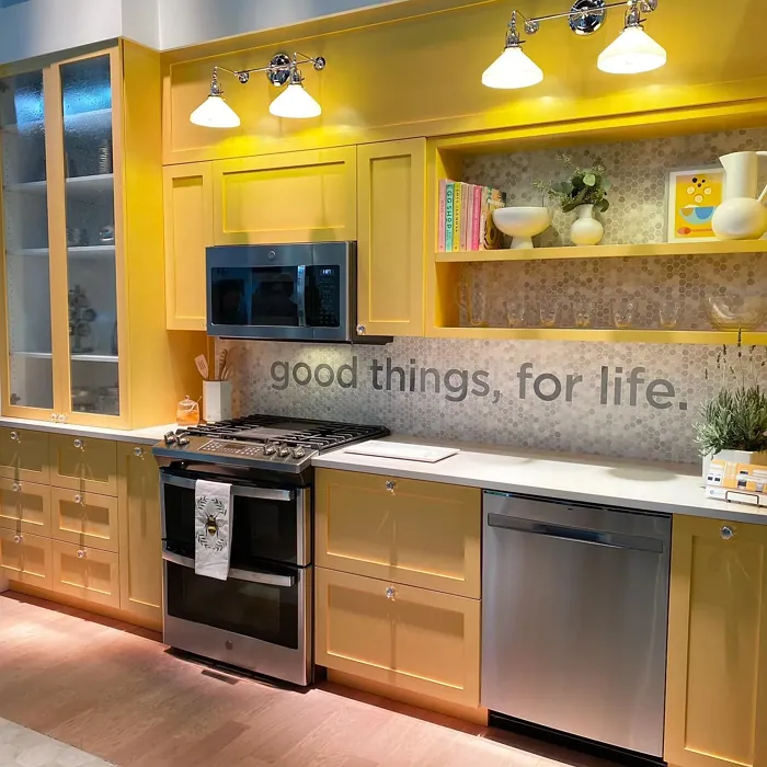 Sherwin Williams Bee kitchen cabinets color