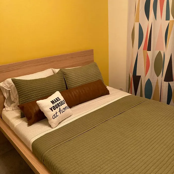 Sherwin Williams Bee bedroom accent wall