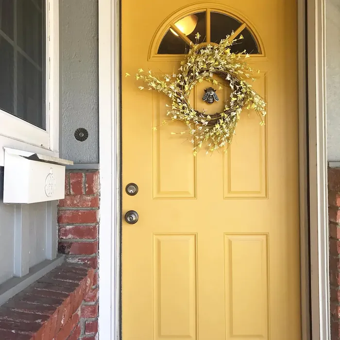 Sherwin Williams Bee front door paint