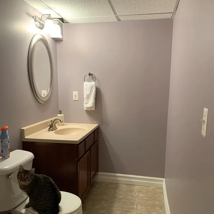 Sherwin Williams Beguiling Mauve bathroom paint review