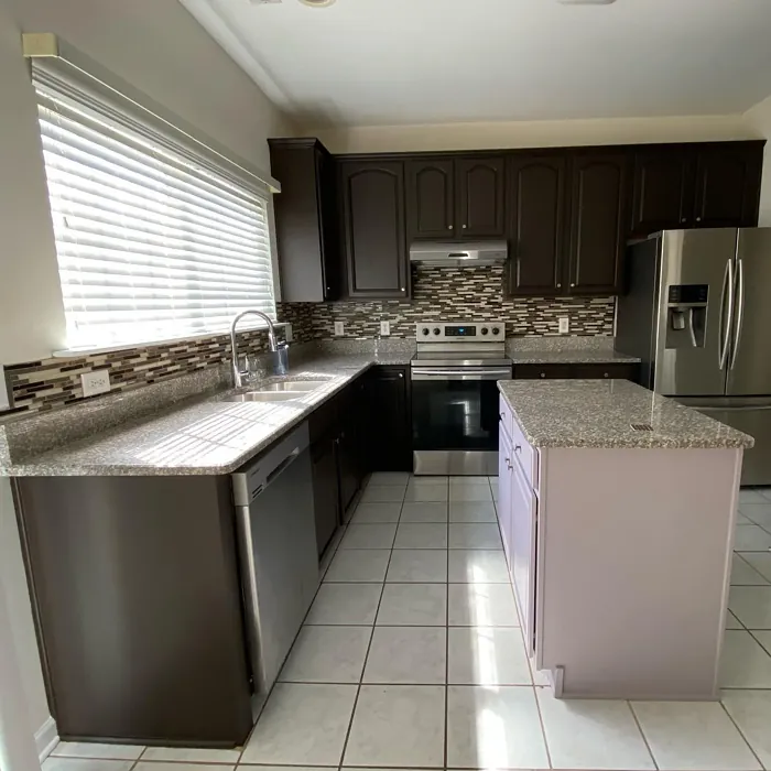 Beguiling Mauve kitchen cabinets paint