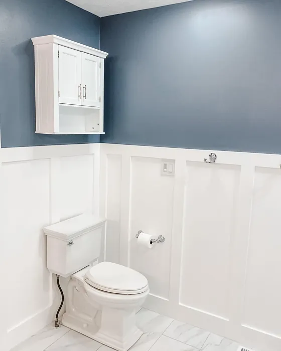 Behr Adirondack Blue bathroom color