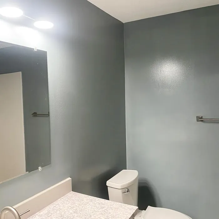 Behr Agave bathroom interior
