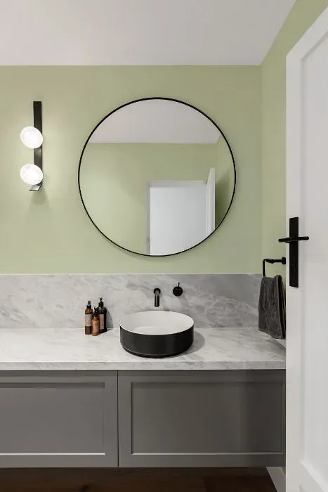 Behr Airy Green minimalist bathroom