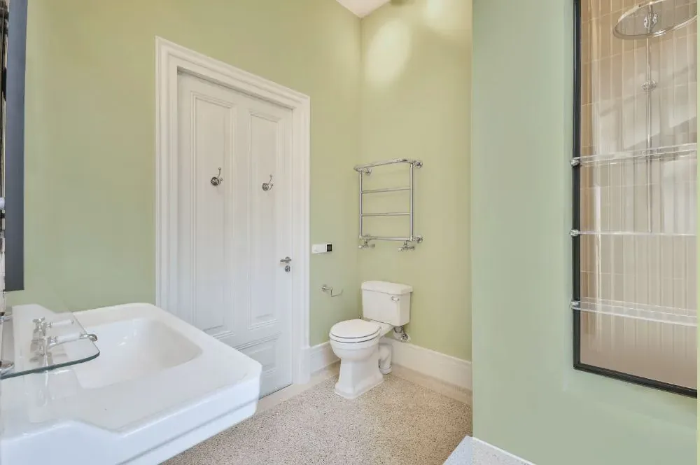 Behr Airy Green bathroom