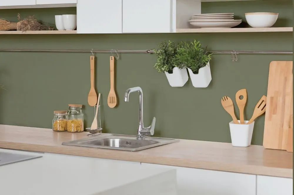 Behr Aloe Thorn kitchen backsplash